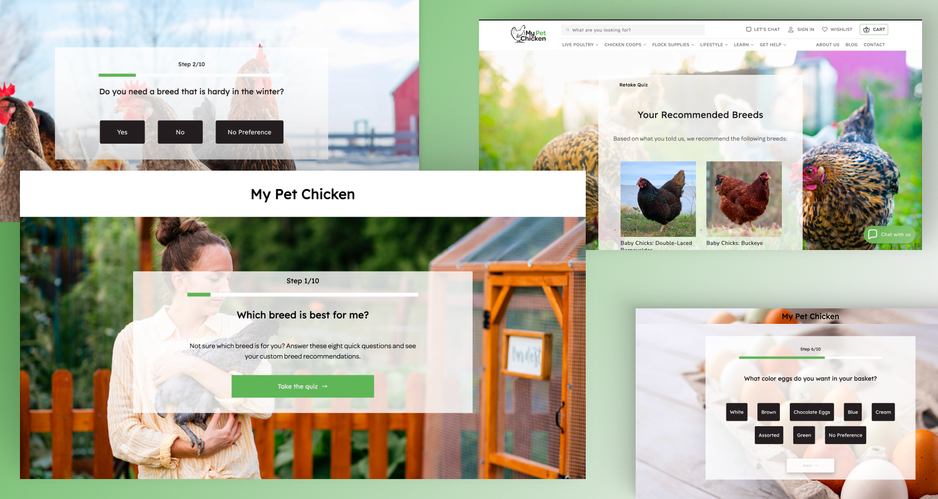 Shopify project image 1